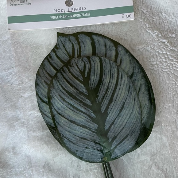 House plant leaf picks - Picture 2 of 4